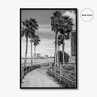 Clearwater Beach Black and White Fine Art Photo Print, Florida Palm Trees, USA Poster