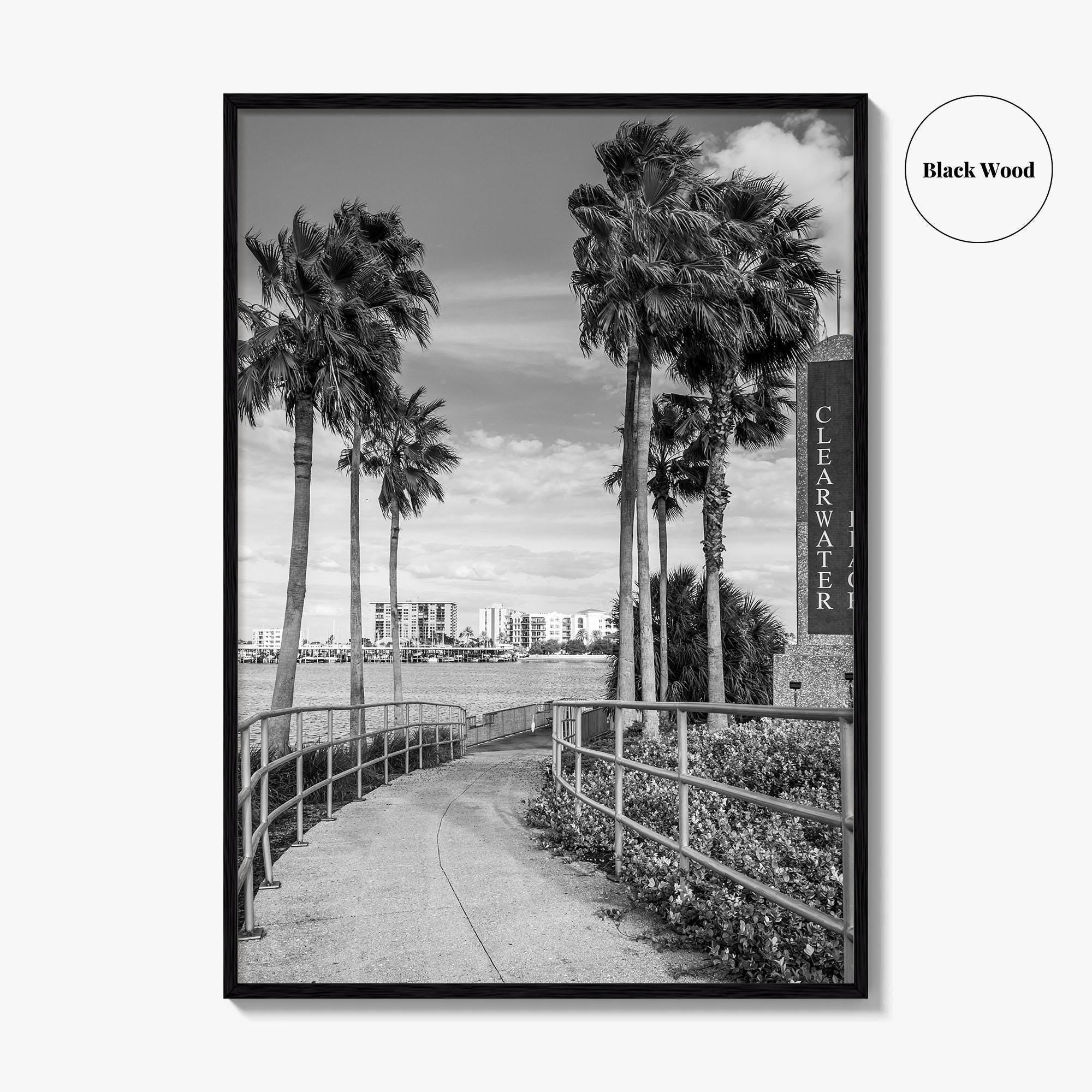 Clearwater Beach Black and White Fine Art Photo Print, Florida Palm Trees, USA Poster