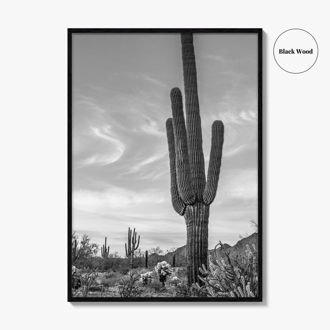 Arizona Black and White Fine Art Photo Print, Sonoran Desert Saguaro Cactus Tucson Poster