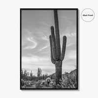 Arizona Black and White Fine Art Photo Print, Sonoran Desert Saguaro Cactus Tucson Poster