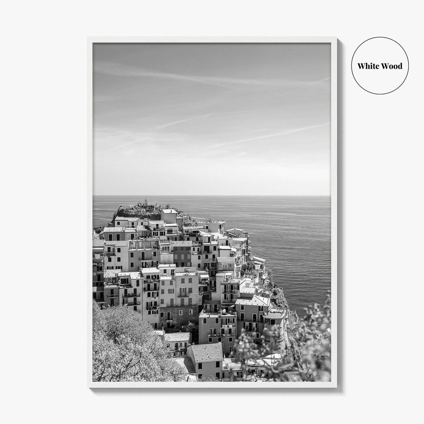 Cinque Terre Black and White Fine Art Photo Print, Manarola, Liguria Italy, Wall Poster