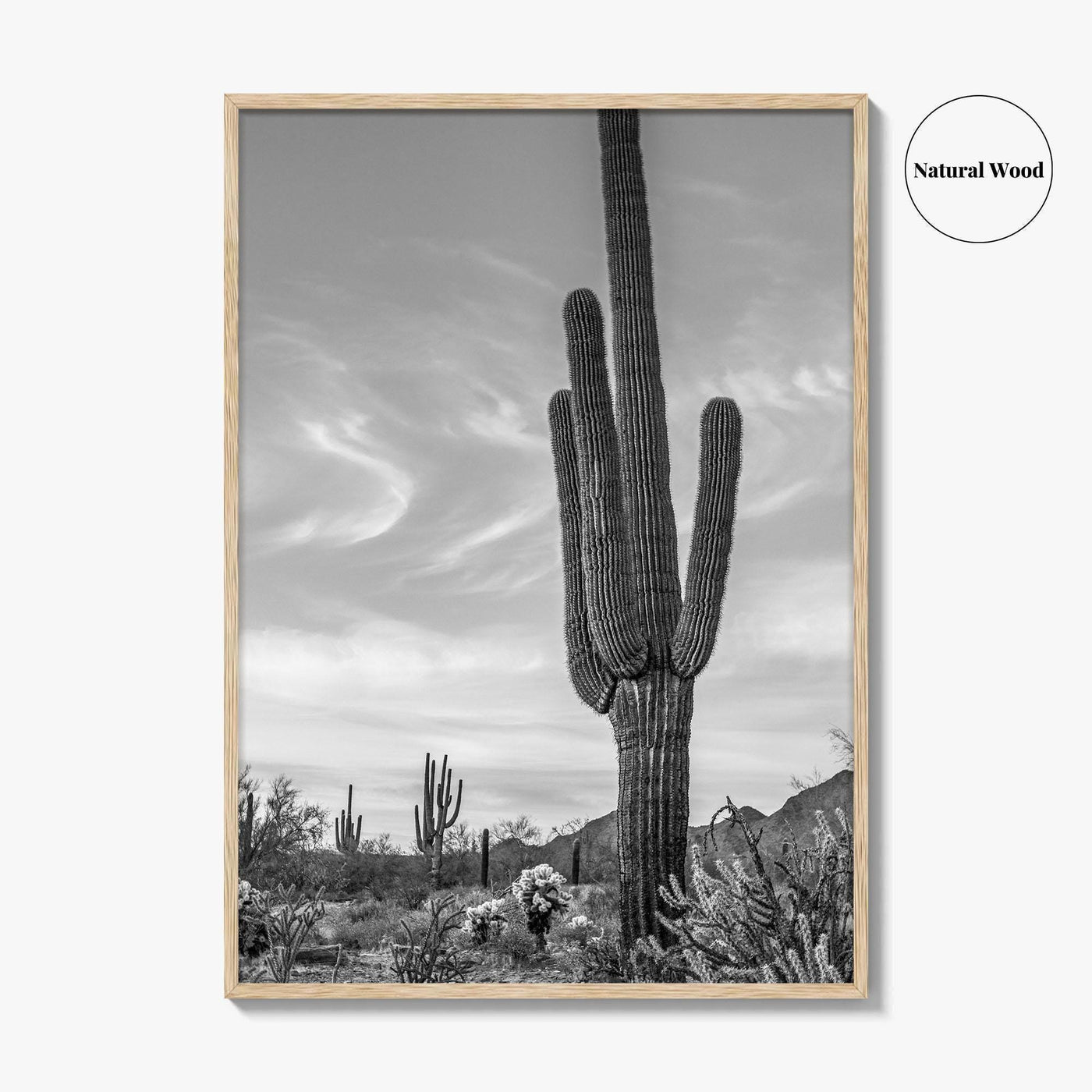 Arizona Black and White Fine Art Photo Print, Sonoran Desert Saguaro Cactus Tucson Poster