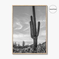 Arizona Black and White Fine Art Photo Print, Sonoran Desert Saguaro Cactus Tucson Poster