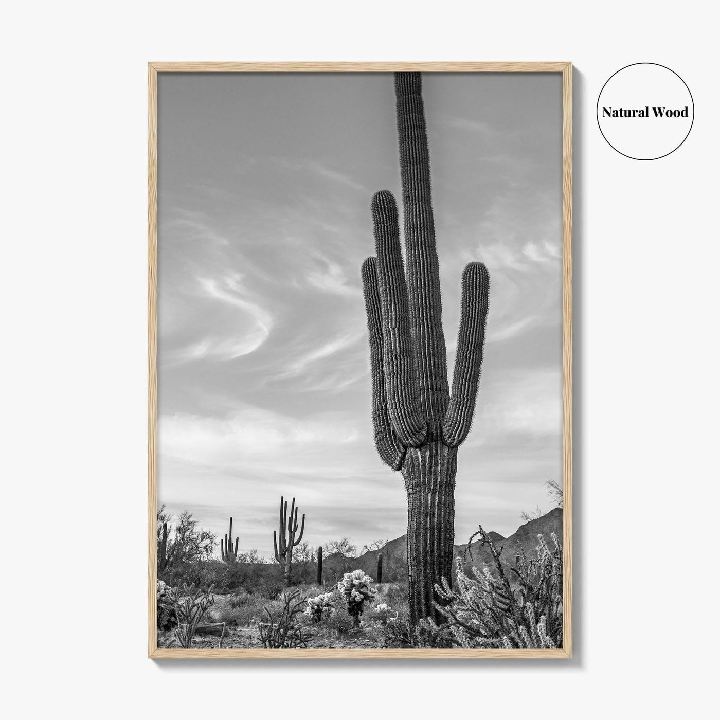 Arizona Black and White Fine Art Photo Print, Sonoran Desert Saguaro Cactus Tucson Poster