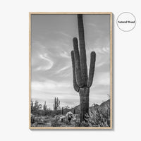 Arizona Black and White Fine Art Photo Print, Sonoran Desert Saguaro Cactus Tucson Poster