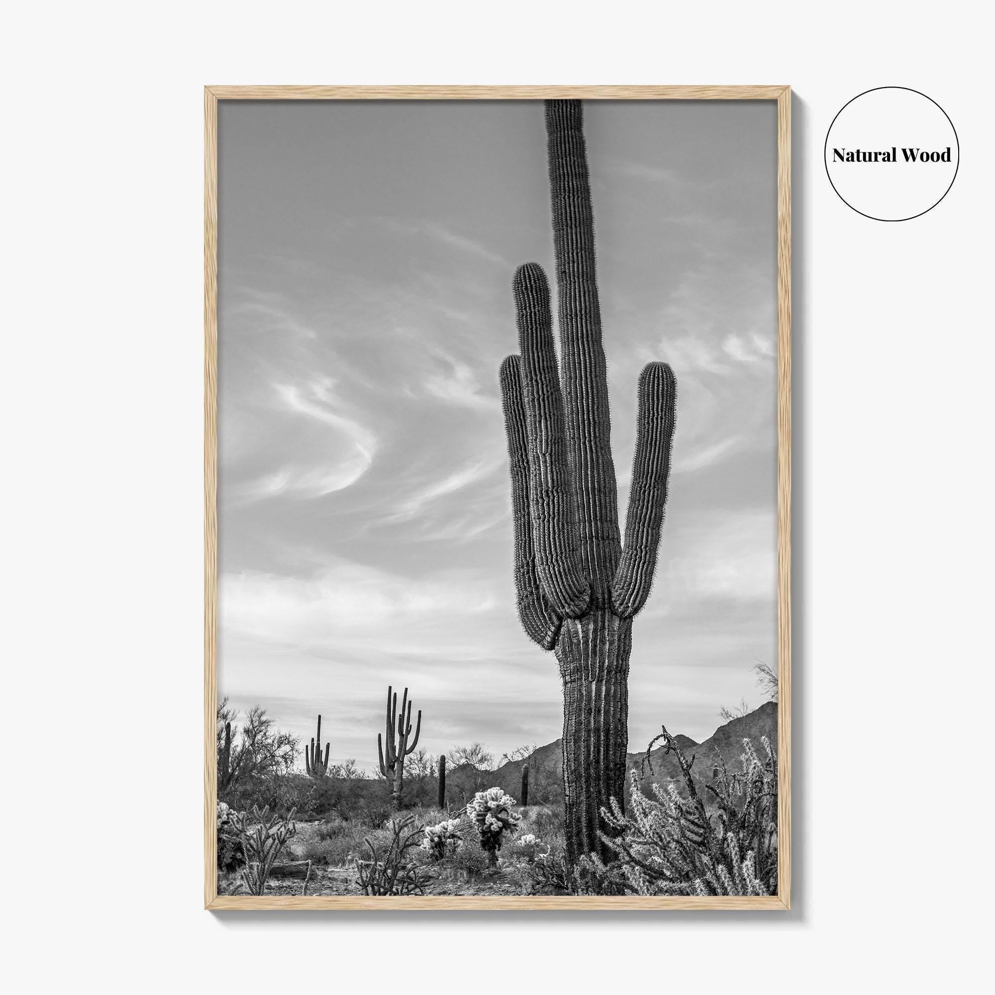 Arizona Black and White Fine Art Photo Print, Sonoran Desert Saguaro Cactus Tucson Poster