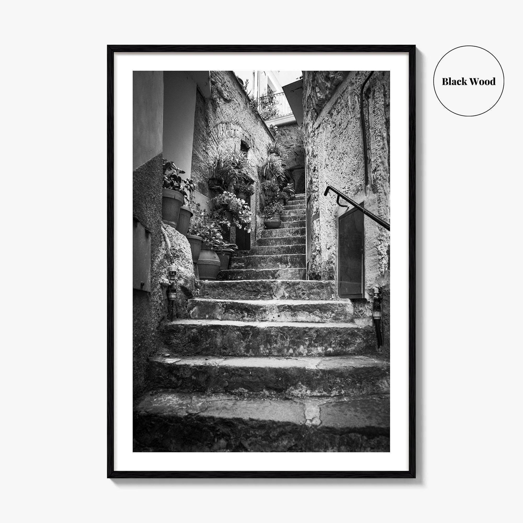 Cinque Terre Black and White Fine Art Photo Print, Riomaggiore Italy Poster