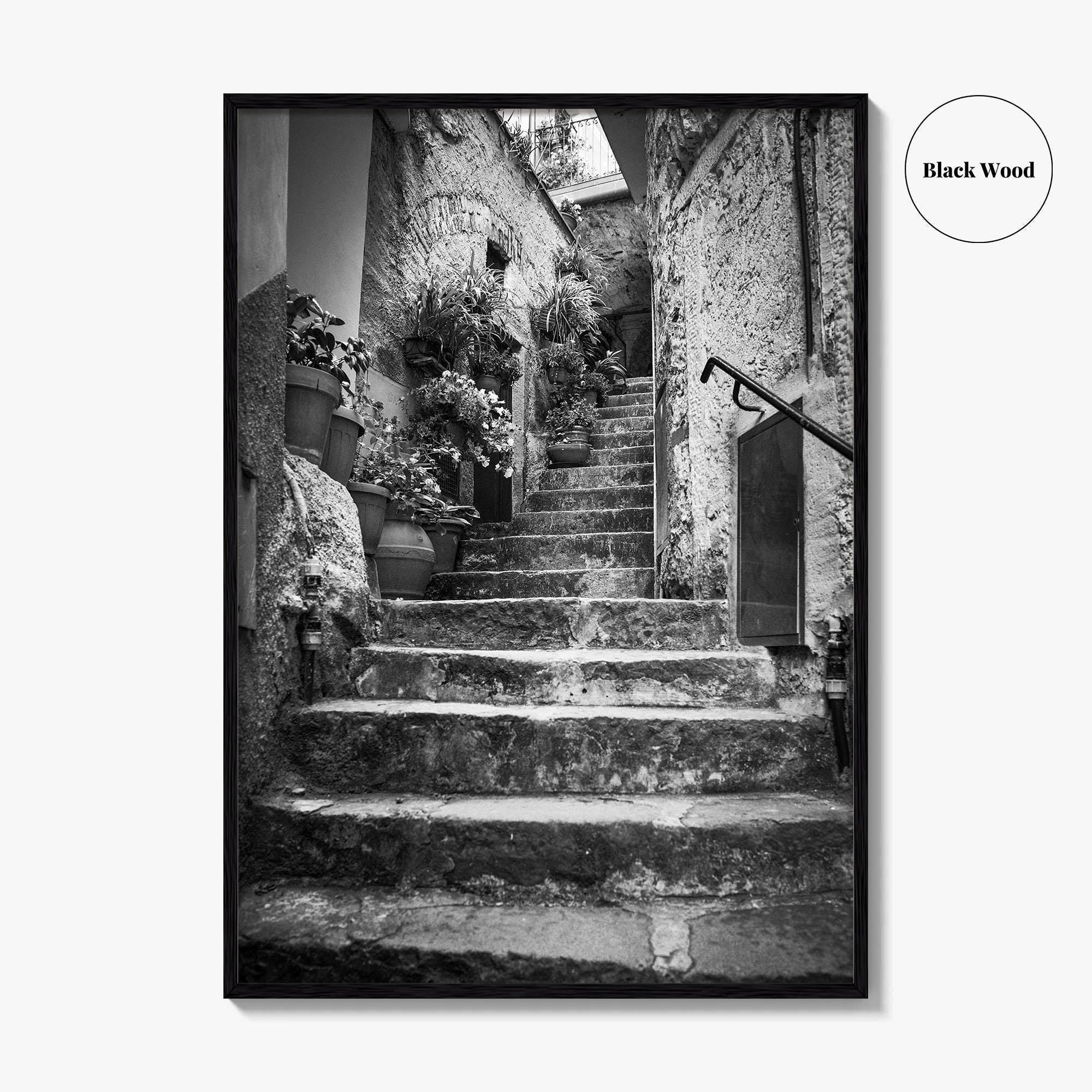 Cinque Terre Black and White Fine Art Photo Print, Riomaggiore Italy Poster
