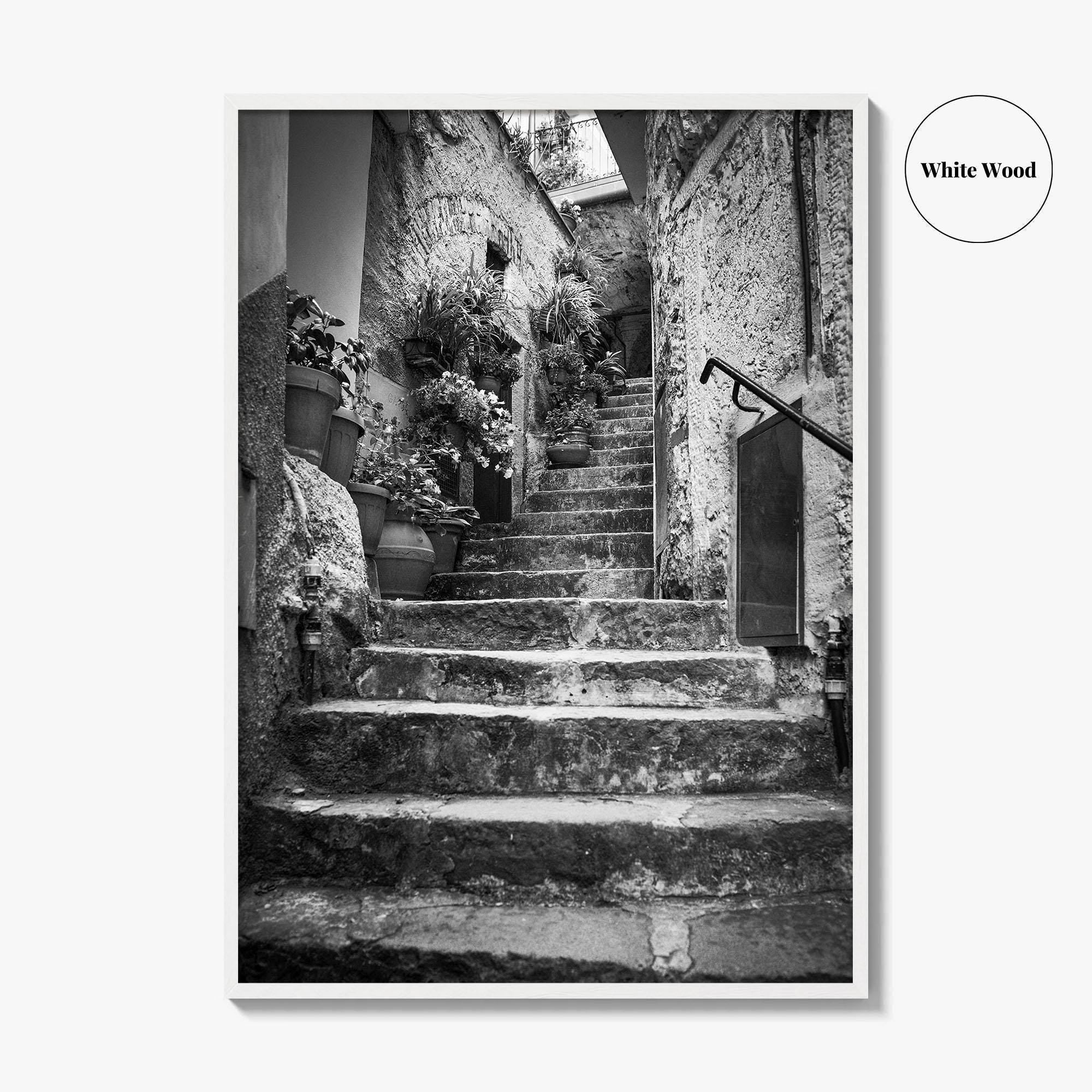 Cinque Terre Black and White Fine Art Photo Print, Riomaggiore Italy Poster