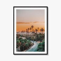 Elysian Park Fine Art Photo Print, Los Angeles, LA, California, USA, Palm Trees