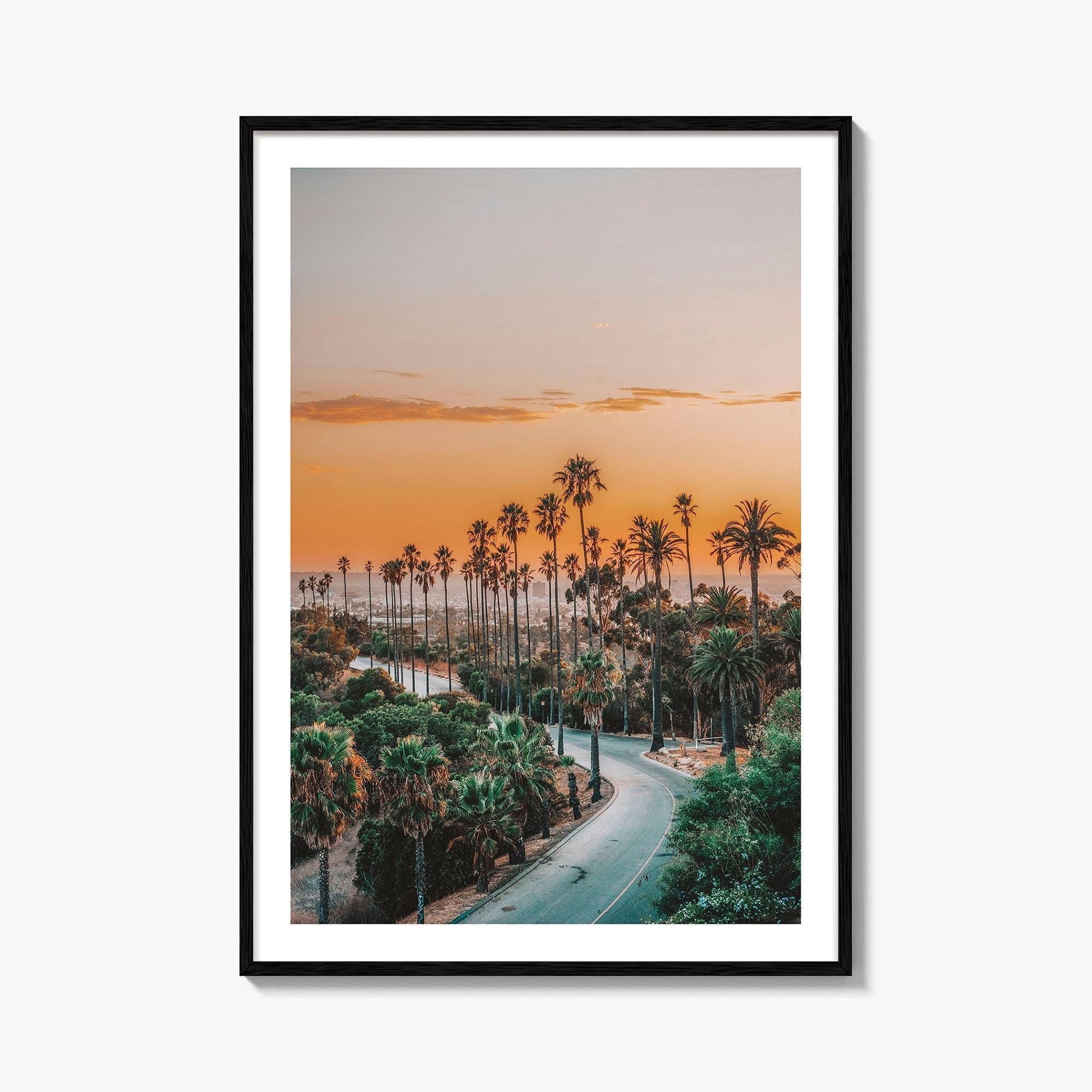 Elysian Park Fine Art Photo Print, Los Angeles, LA, California, USA, Palm Trees