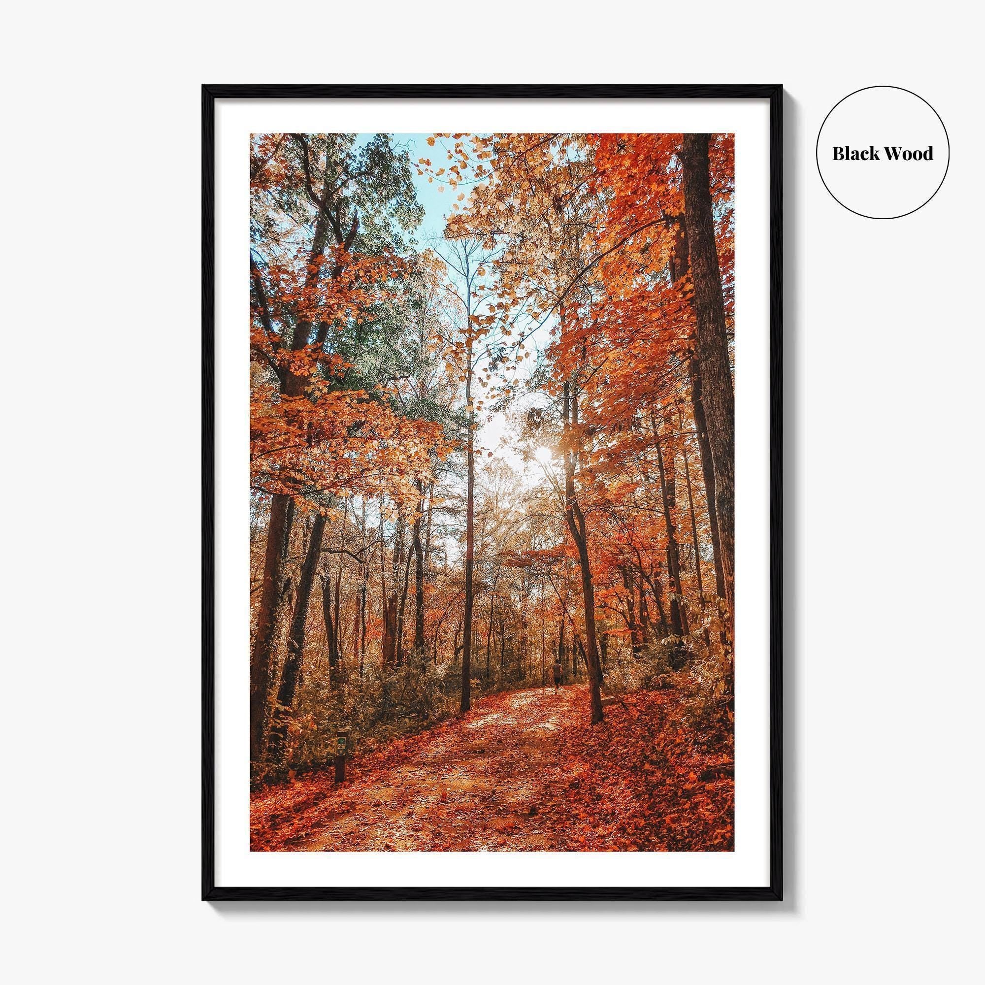 Knoxville Fine Art Photo Print, Tennessee Fall Foliage Wall Decor Poster, TN