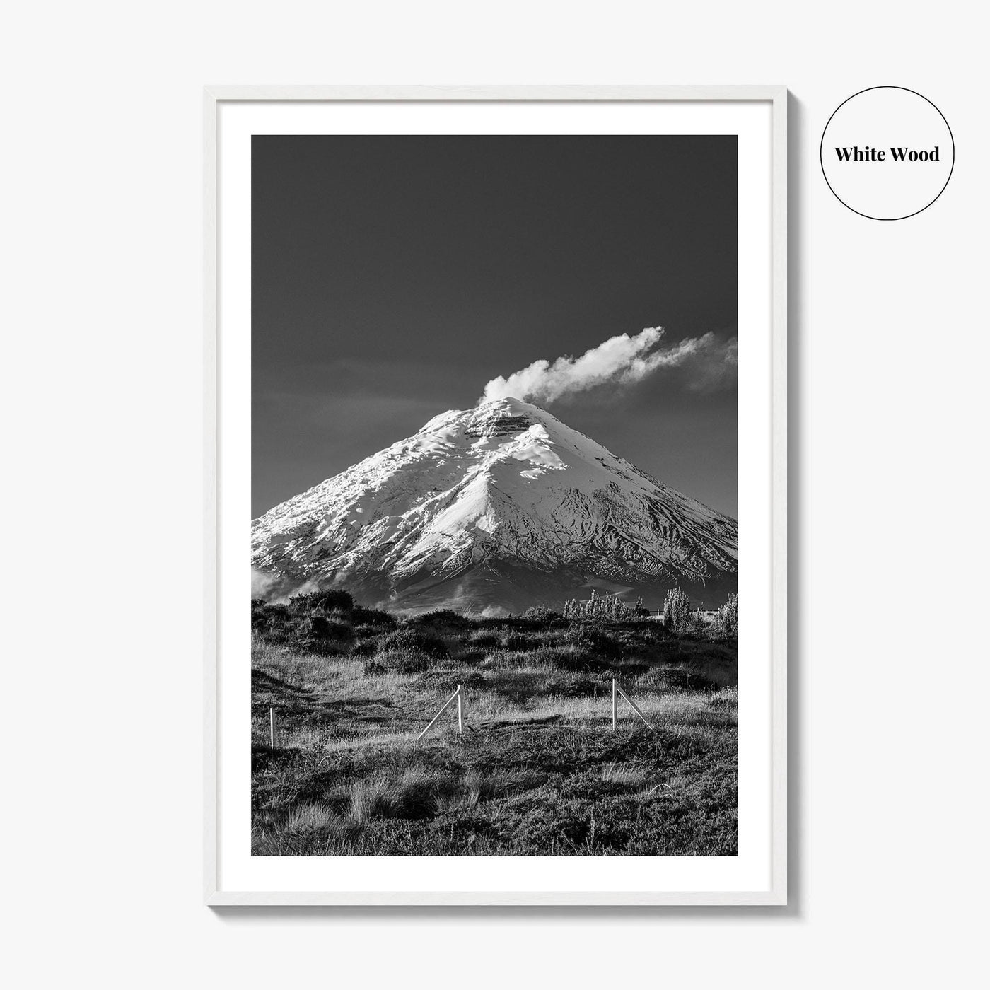 Cotopaxi Black and White Fine Art Photo Print, Volcano, Ecuador, Andes, National Park, Poster