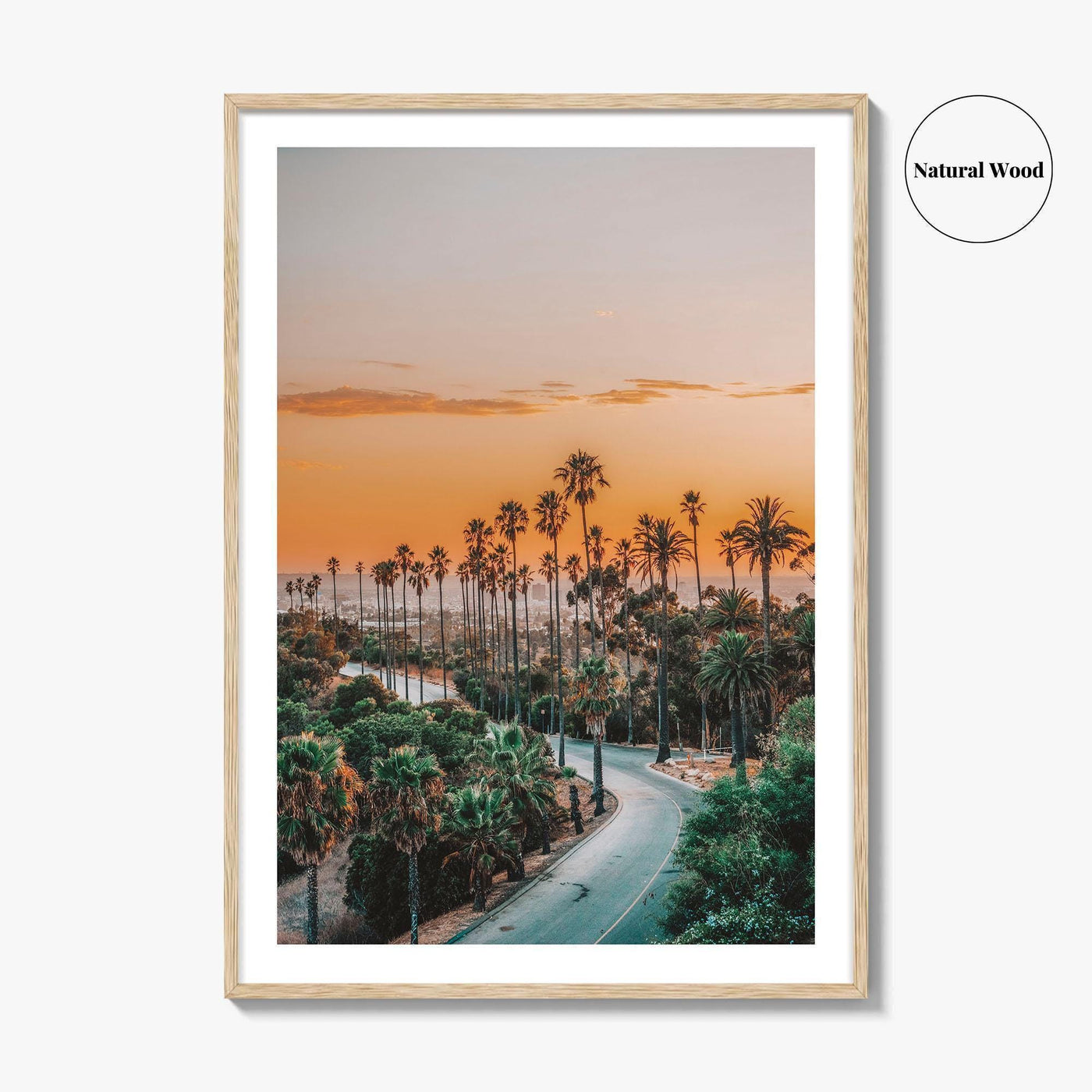 Elysian Park Fine Art Photo Print, Los Angeles, LA, California, USA, Palm Trees
