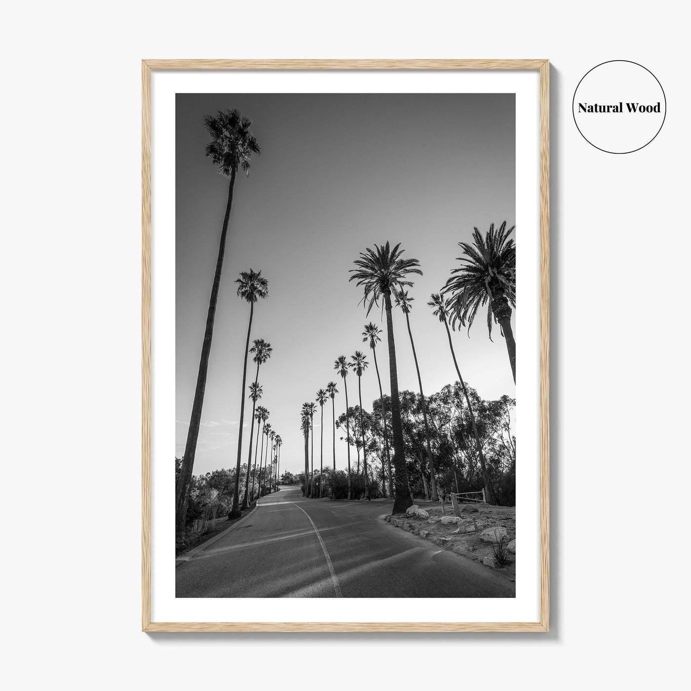 Elysian Park Black and White Fine Art Photo Print, Los Angeles Palm Trees Poster