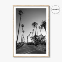 Elysian Park Black and White Fine Art Photo Print, Los Angeles Palm Trees Poster