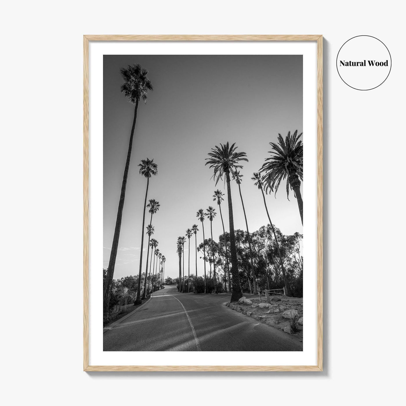 Elysian Park Black and White Fine Art Photo Print, Los Angeles Palm Trees Poster