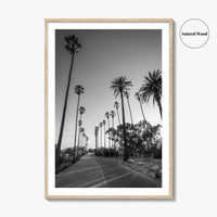 Elysian Park Black and White Fine Art Photo Print, Los Angeles Palm Trees Poster