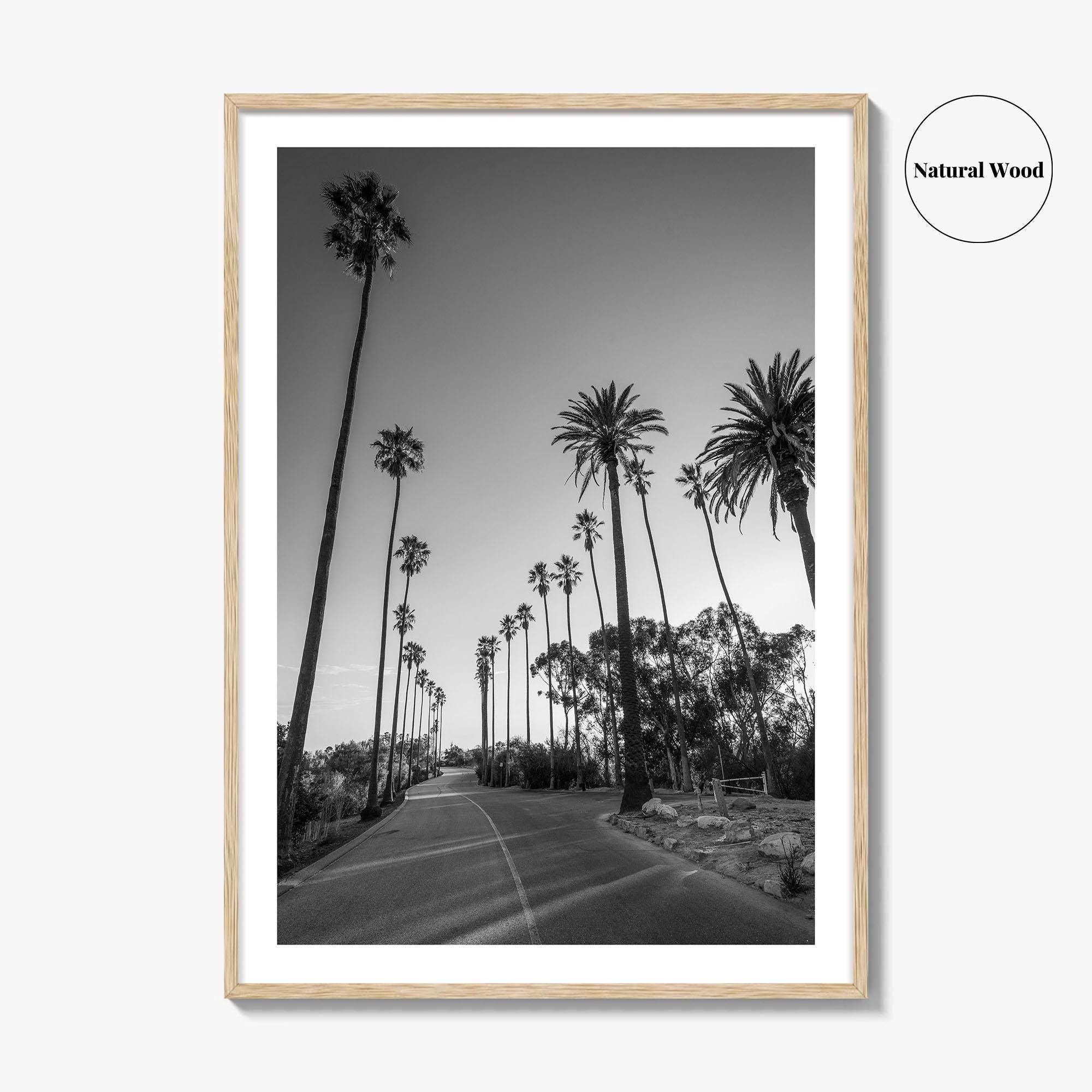 Elysian Park Black and White Fine Art Photo Print, Los Angeles Palm Trees Poster