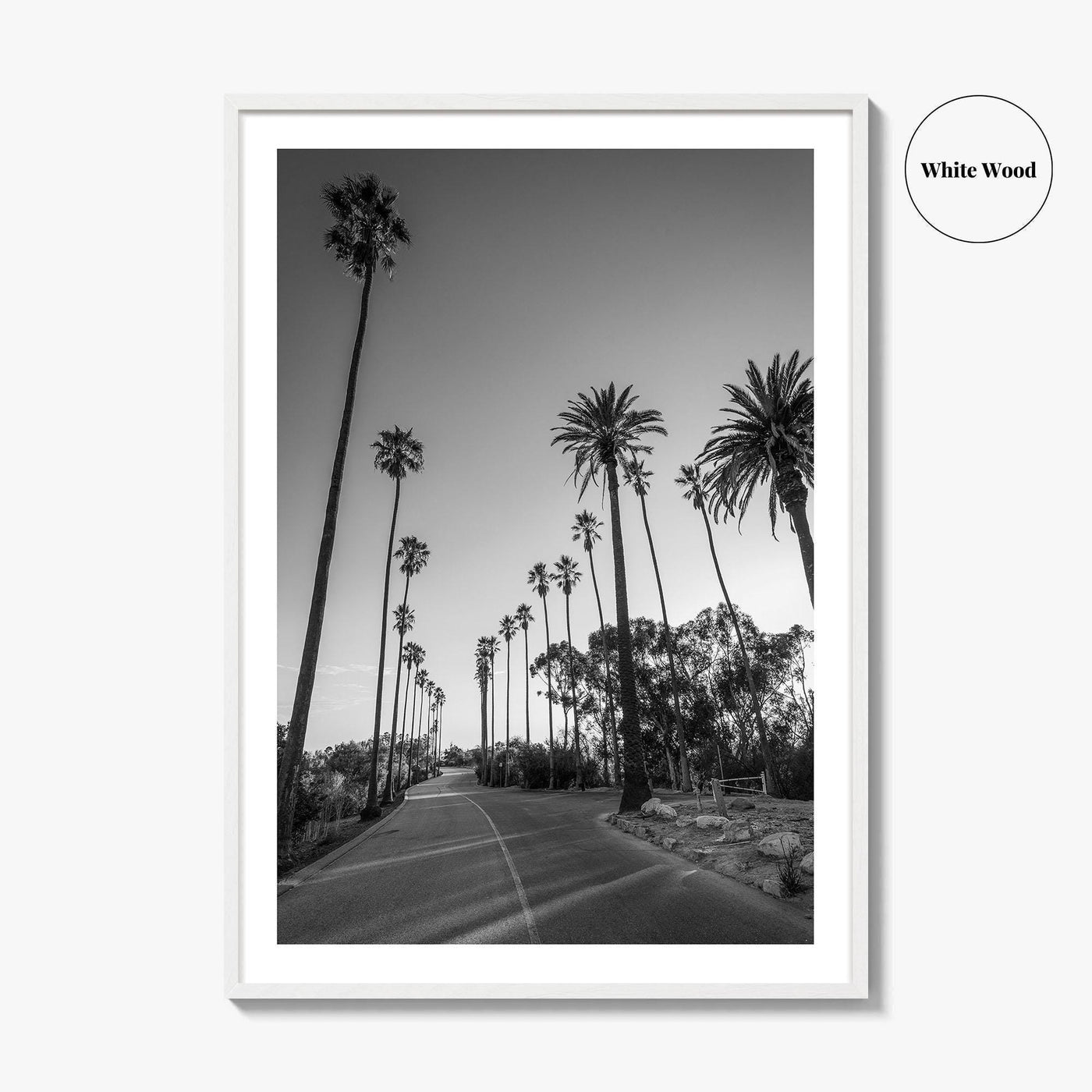 Elysian Park Black and White Fine Art Photo Print, Los Angeles Palm Trees Poster