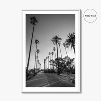 Elysian Park Black and White Fine Art Photo Print, Los Angeles Palm Trees Poster