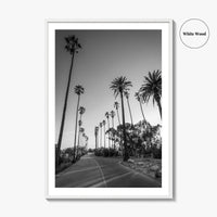 Elysian Park Black and White Fine Art Photo Print, Los Angeles Palm Trees Poster