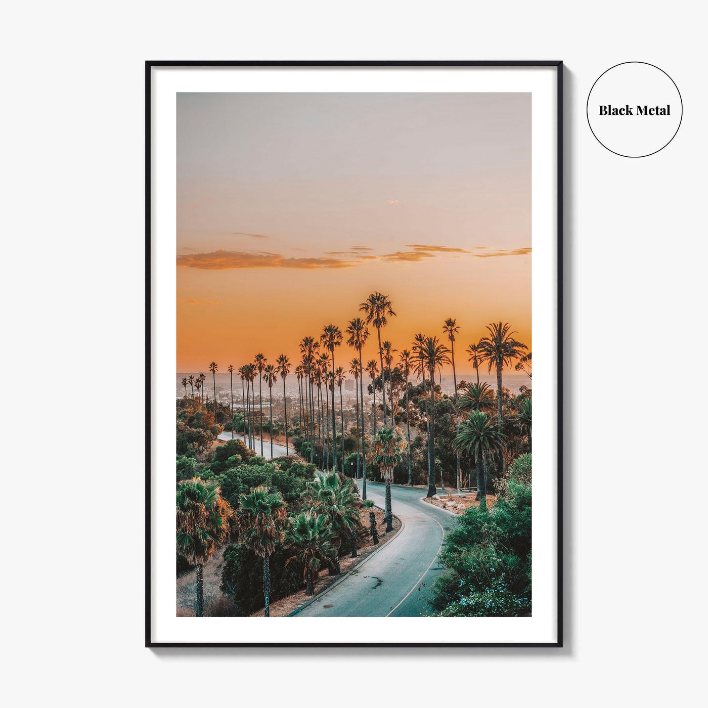 Elysian Park Fine Art Photo Print, Los Angeles, LA, California, USA, Palm Trees