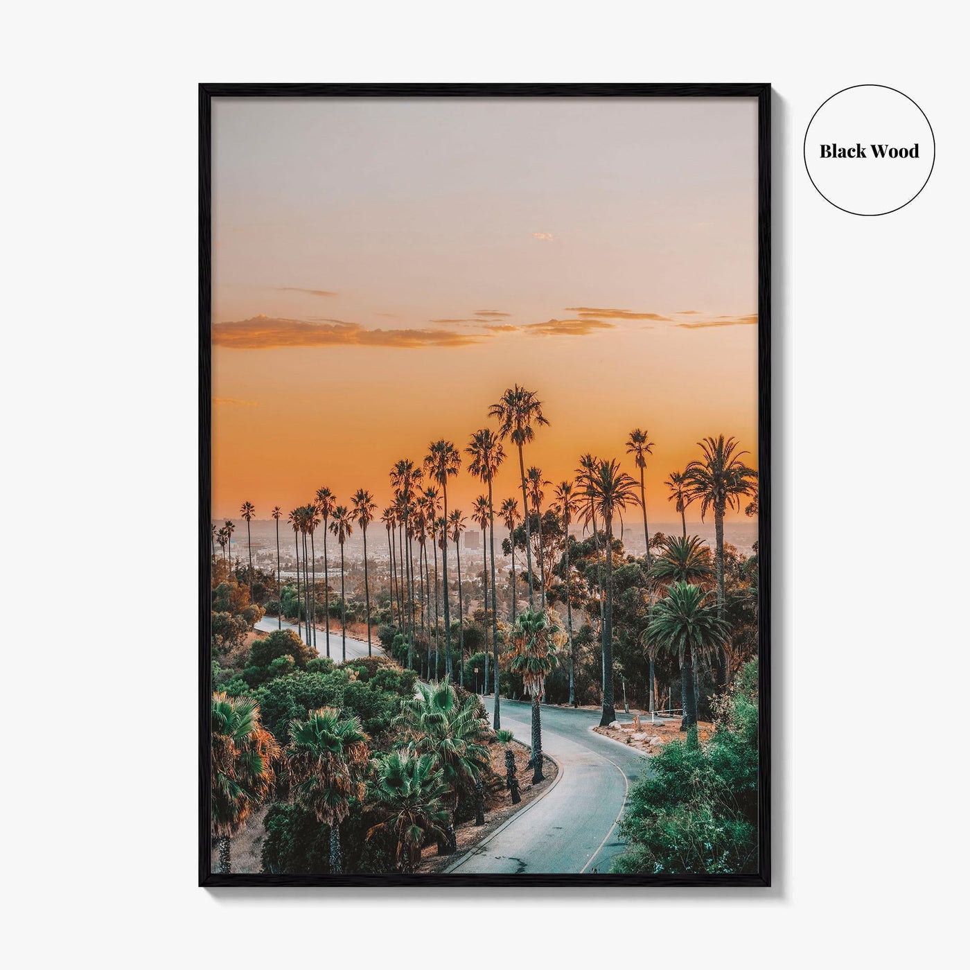 Elysian Park Fine Art Photo Print, Los Angeles, LA, California, USA, Palm Trees