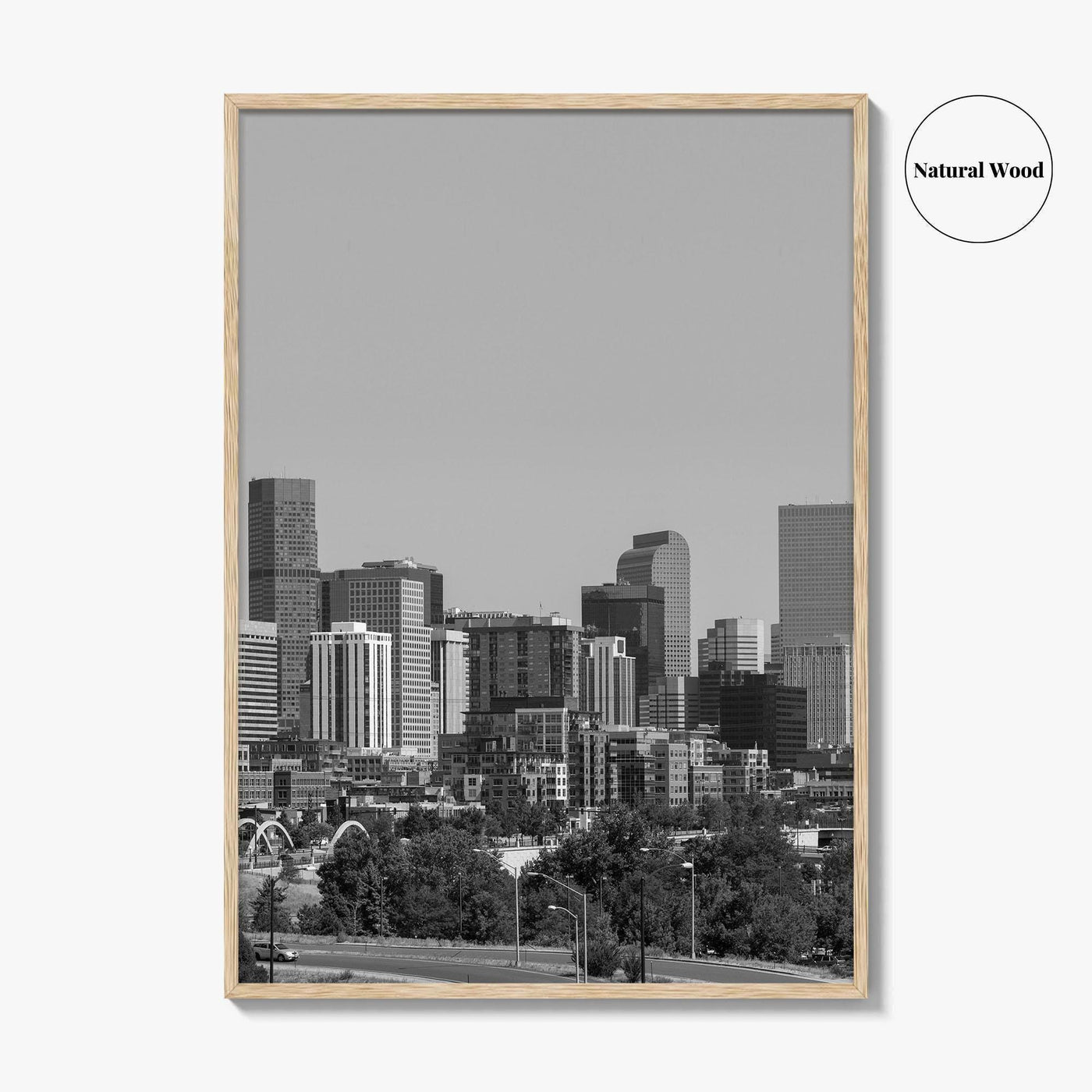 Denver Skyline Black and White Fine Art Photo Print, Panorama, Colorado Poster