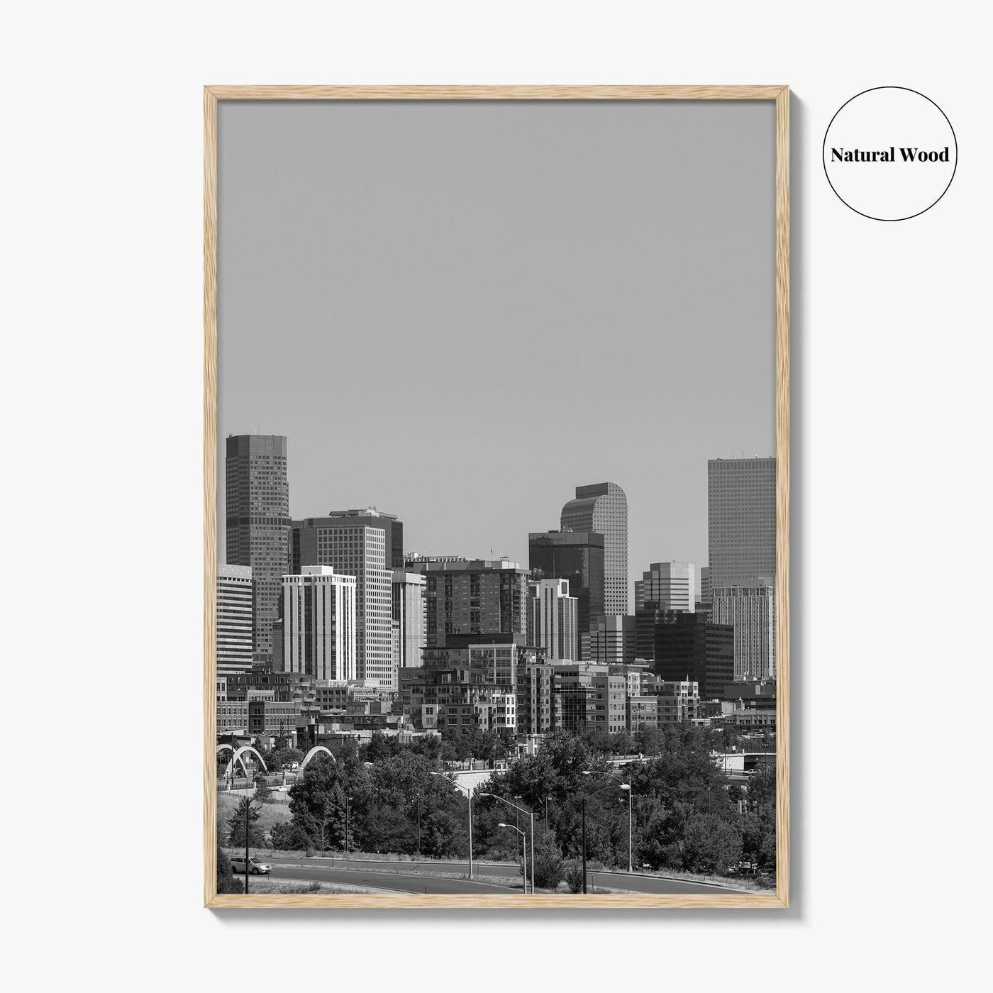 Denver Skyline Black and White Fine Art Photo Print, Panorama, Colorado Poster