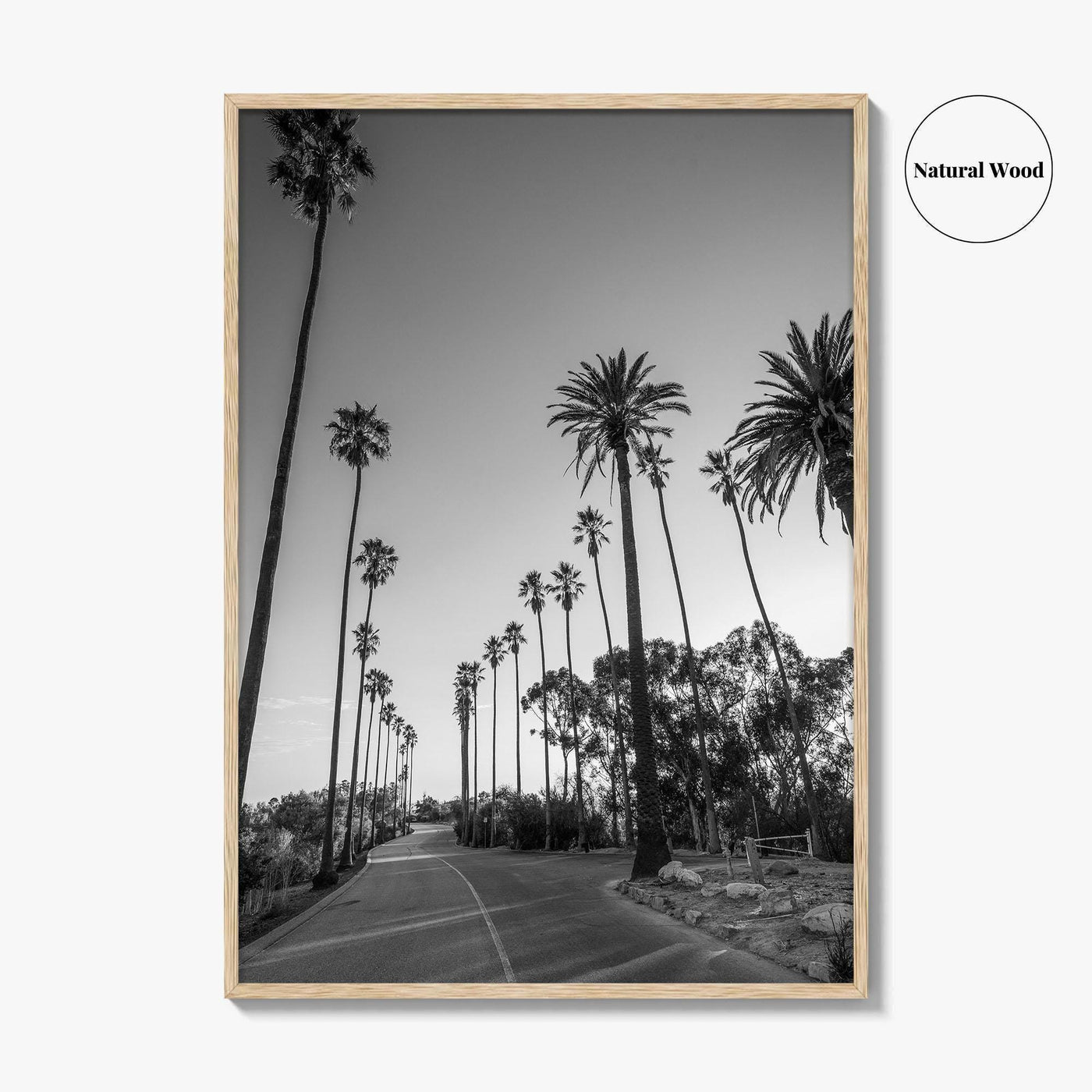 Elysian Park Black and White Fine Art Photo Print, Los Angeles Palm Trees Poster