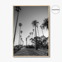 Elysian Park Black and White Fine Art Photo Print, Los Angeles Palm Trees Poster