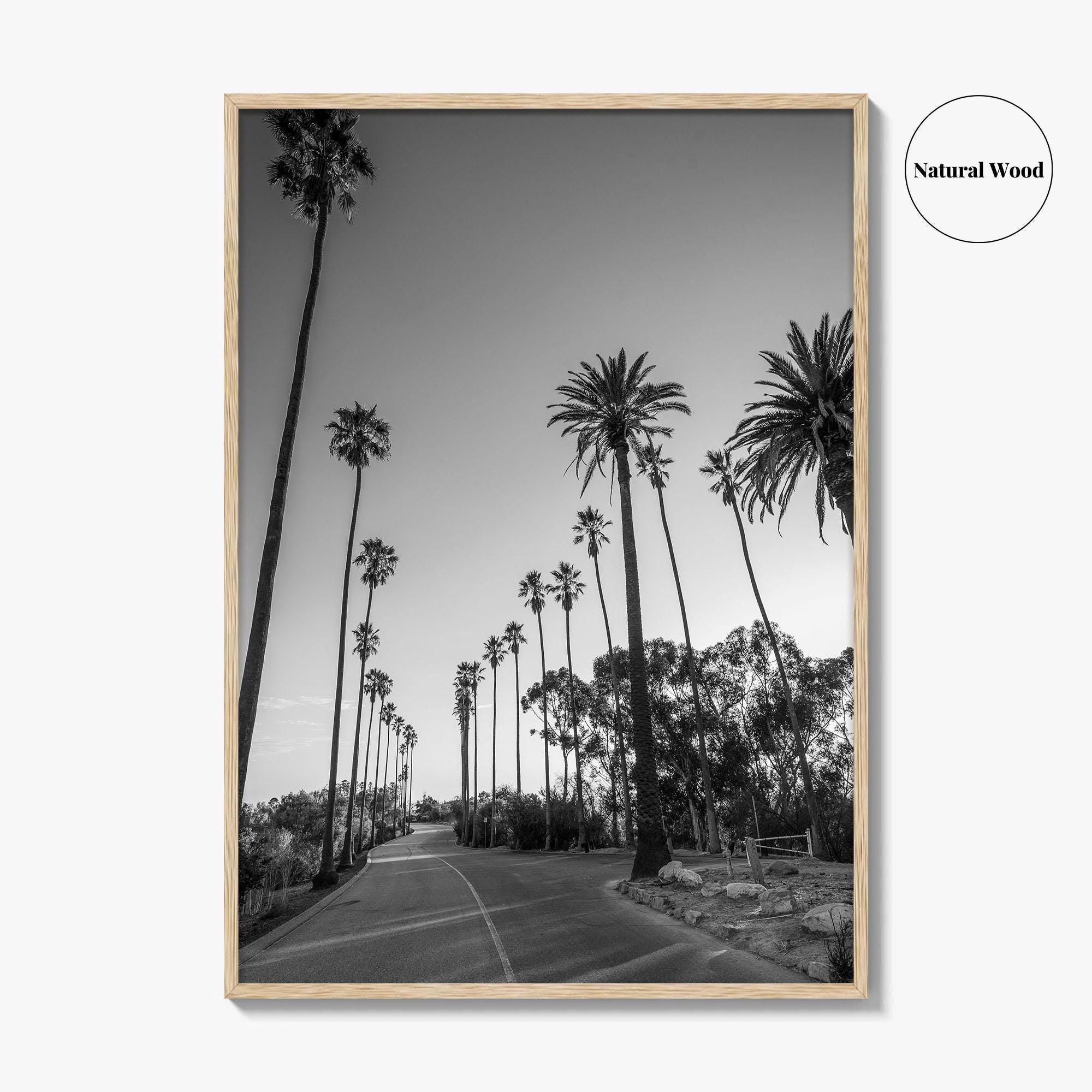 Elysian Park Black and White Fine Art Photo Print, Los Angeles Palm Trees Poster