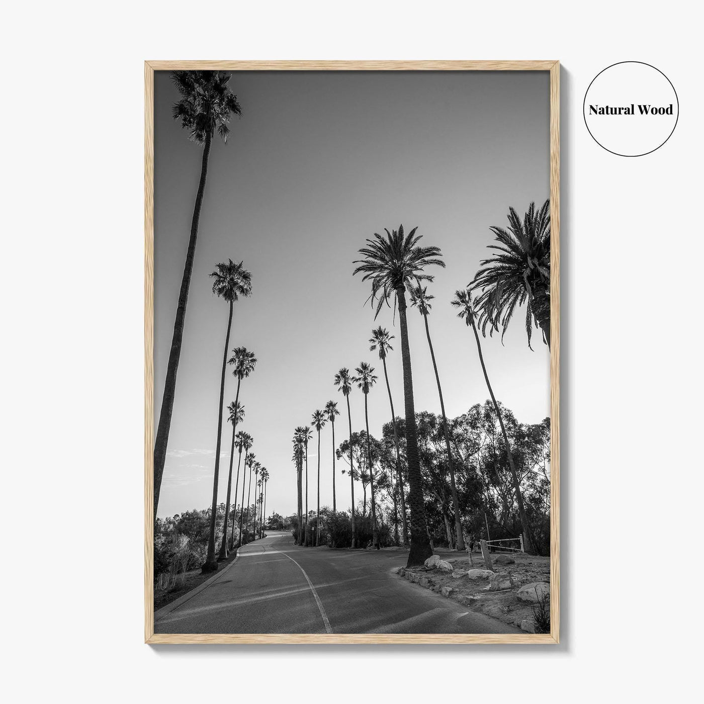 Elysian Park Black and White Fine Art Photo Print, Los Angeles Palm Trees Poster