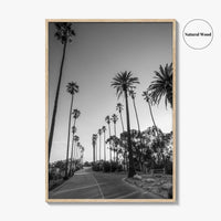 Elysian Park Black and White Fine Art Photo Print, Los Angeles Palm Trees Poster