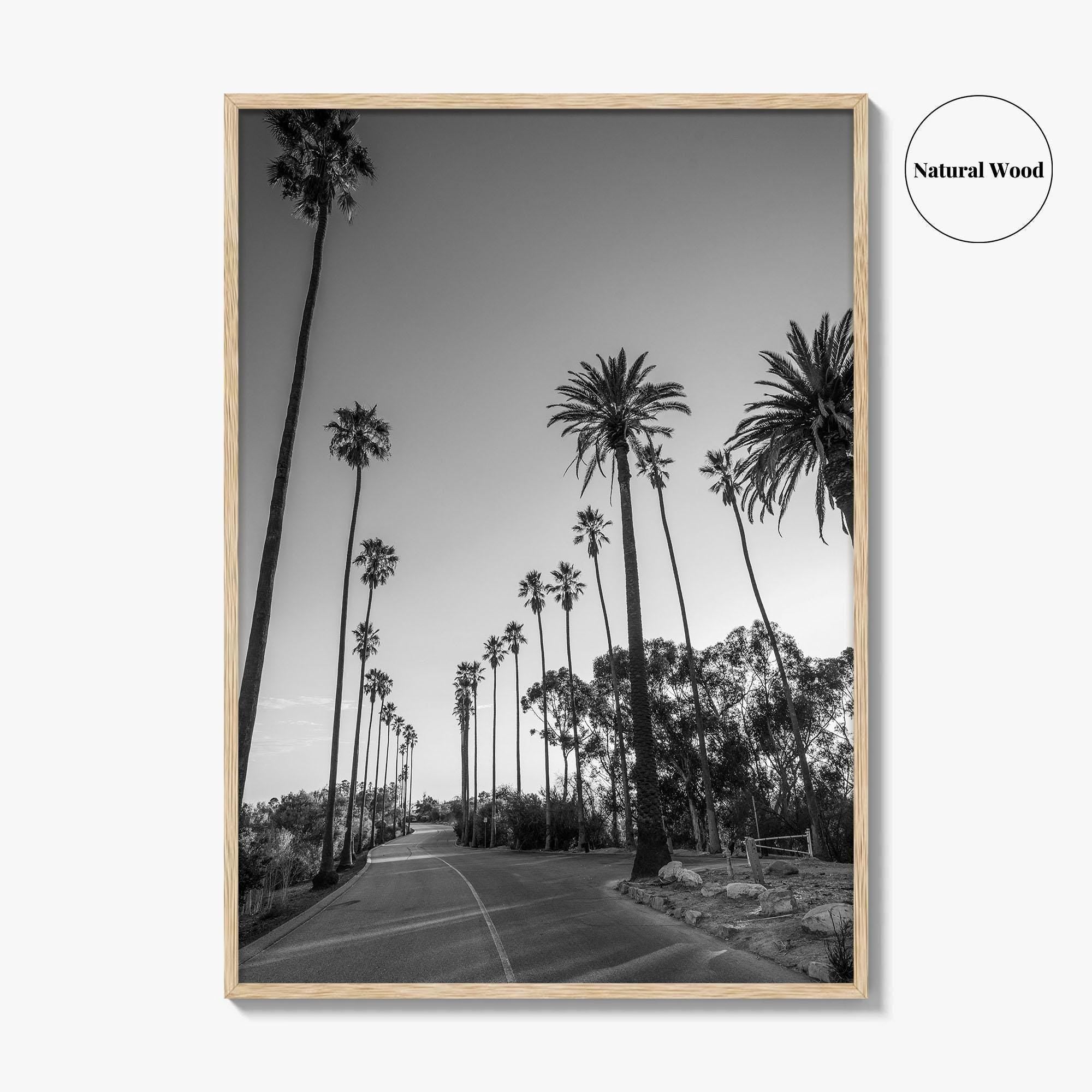 Elysian Park Black and White Fine Art Photo Print, Los Angeles Palm Trees Poster
