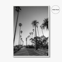 Elysian Park Black and White Fine Art Photo Print, Los Angeles Palm Trees Poster