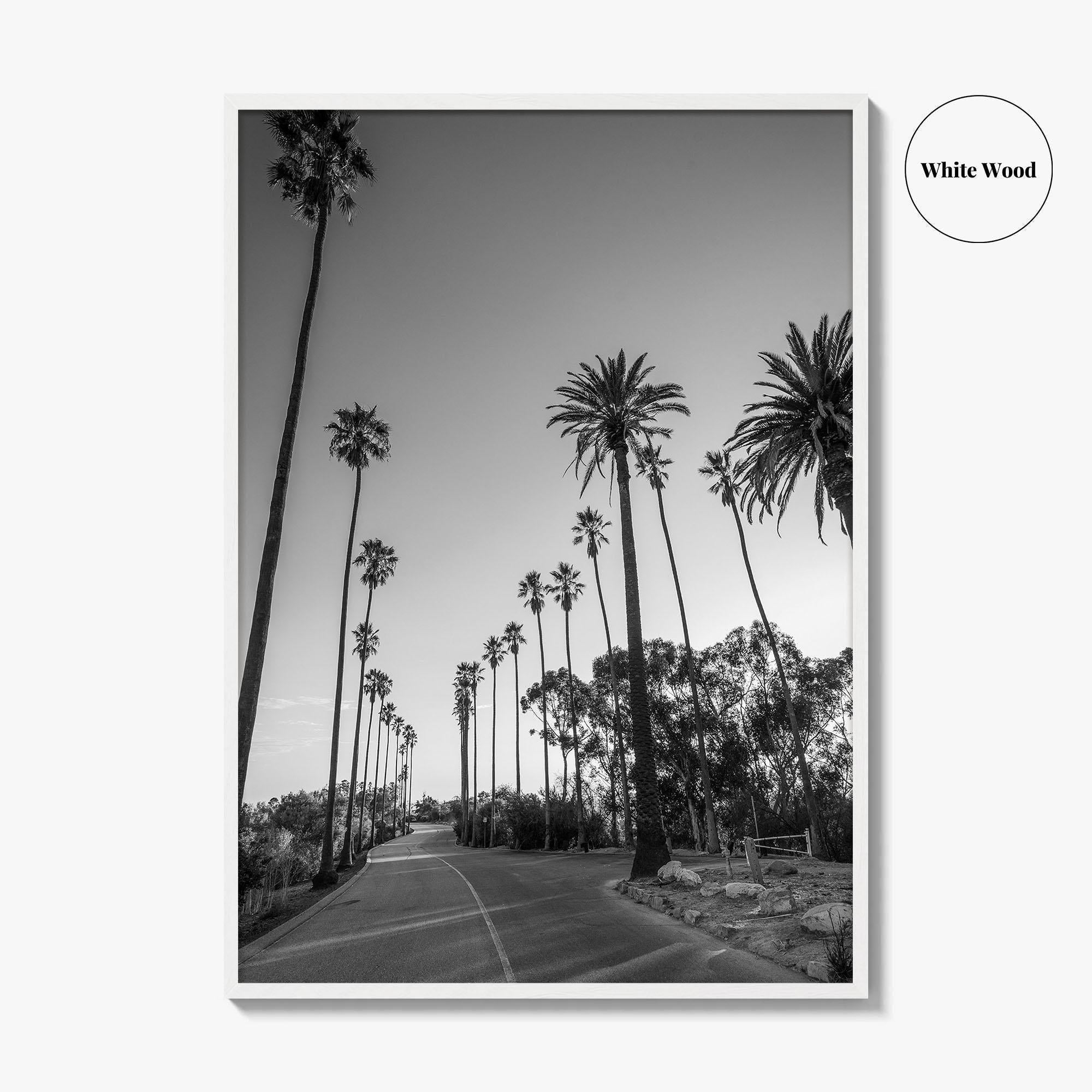 Elysian Park Black and White Fine Art Photo Print, Los Angeles Palm Trees Poster