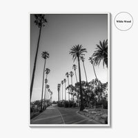 Elysian Park Black and White Fine Art Photo Print, Los Angeles Palm Trees Poster