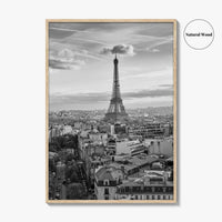 Paris Skyline Black and White Fine Art Photo Print, Eiffel Tower, France Poster