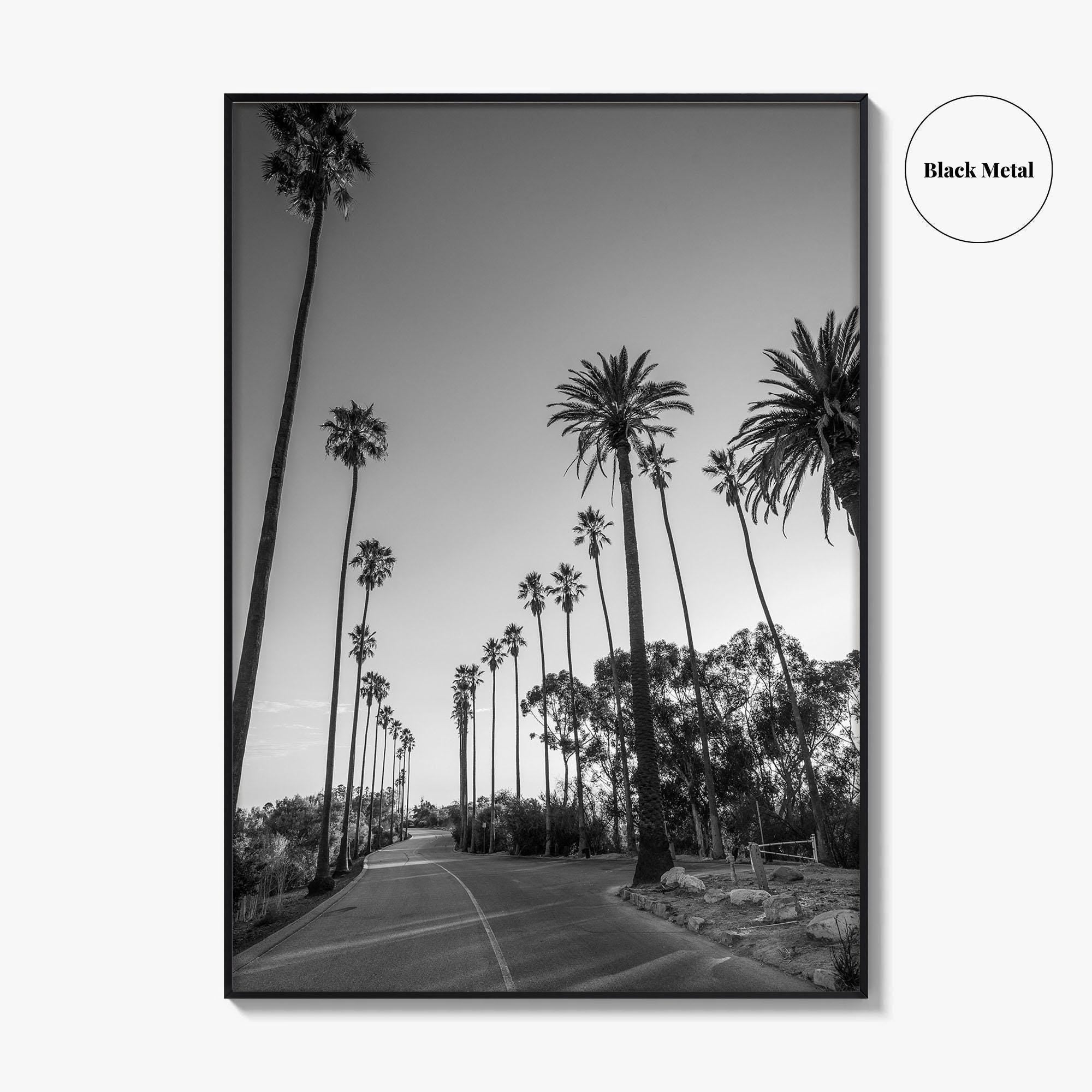 Elysian Park Black and White Fine Art Photo Print, Los Angeles Palm Trees Poster