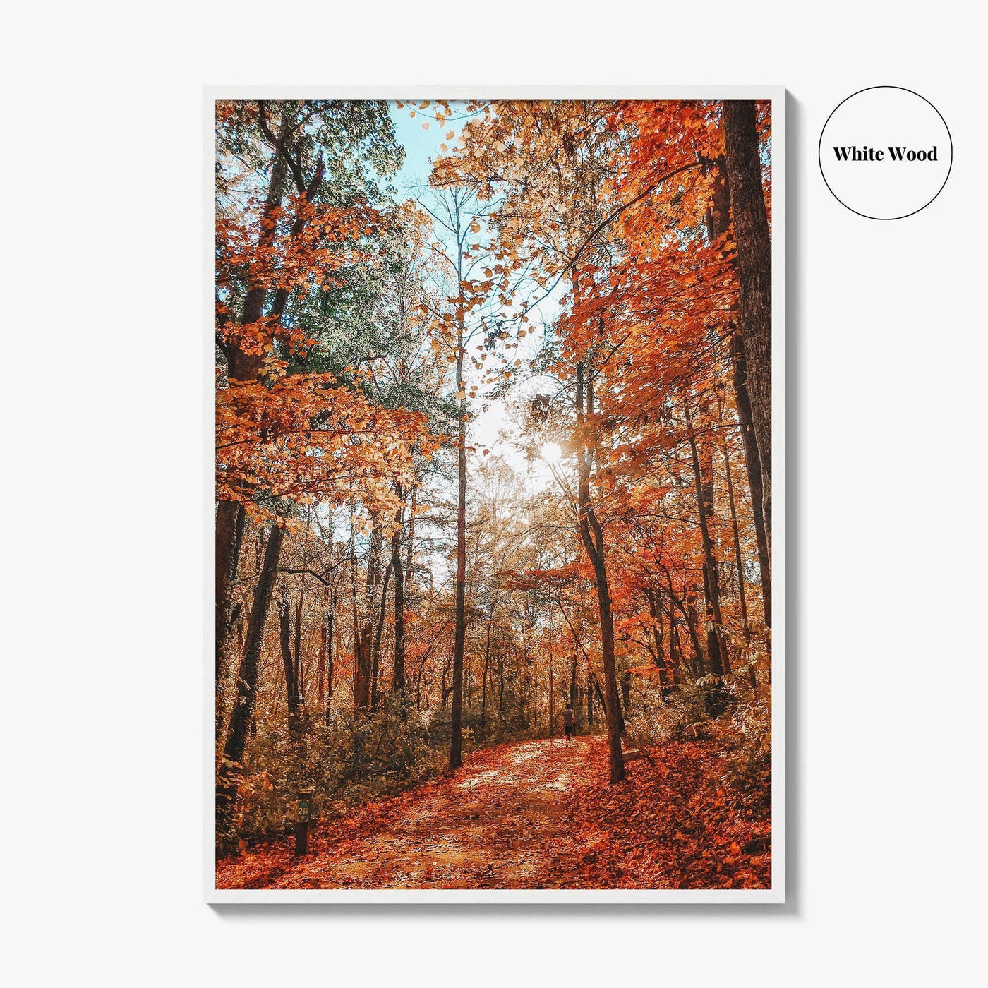 Knoxville Fine Art Photo Print, Tennessee Fall Foliage Wall Decor Poster, TN