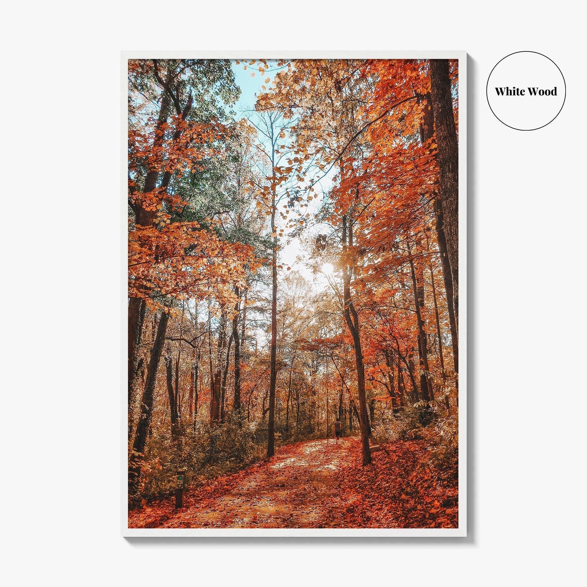 Knoxville Fine Art Photo Print, Tennessee Fall Foliage Wall Decor Poster, TN