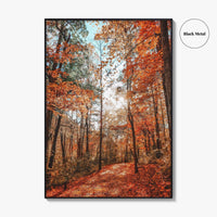 Knoxville Fine Art Photo Print, Tennessee Fall Foliage Wall Decor Poster, TN