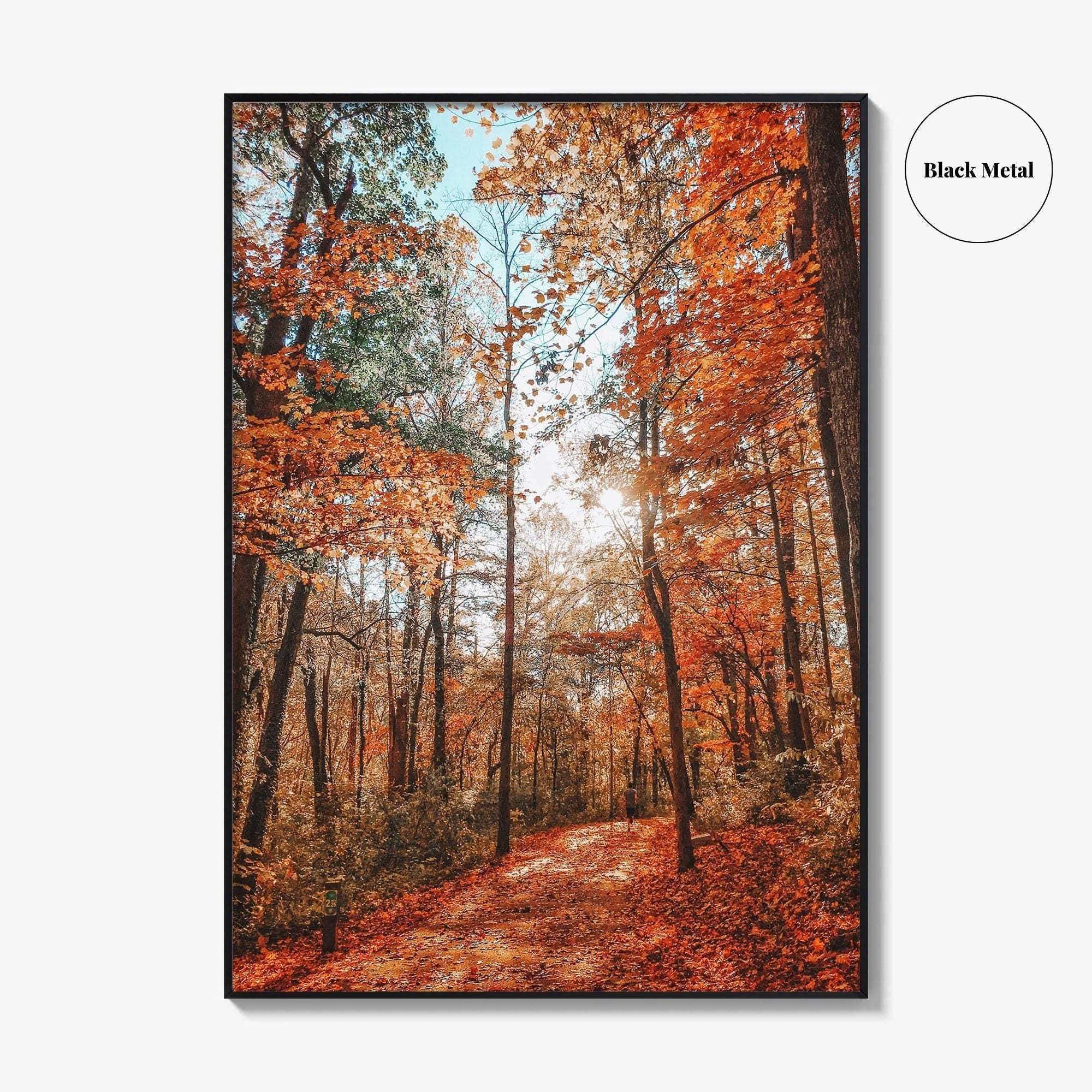 Knoxville Fine Art Photo Print, Tennessee Fall Foliage Wall Decor Poster, TN