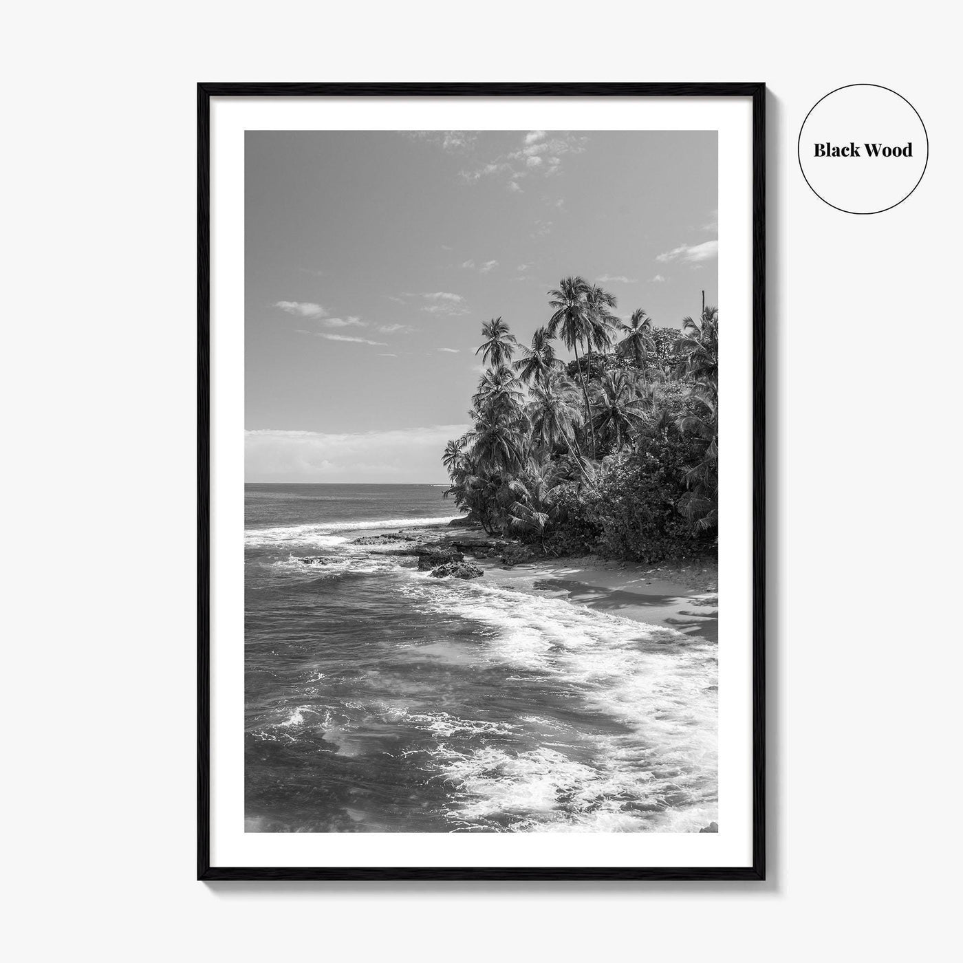 Costa Rica Black and White Fine Art Photo Print, Manzanillo Caribbean Puerto Viejo Poster