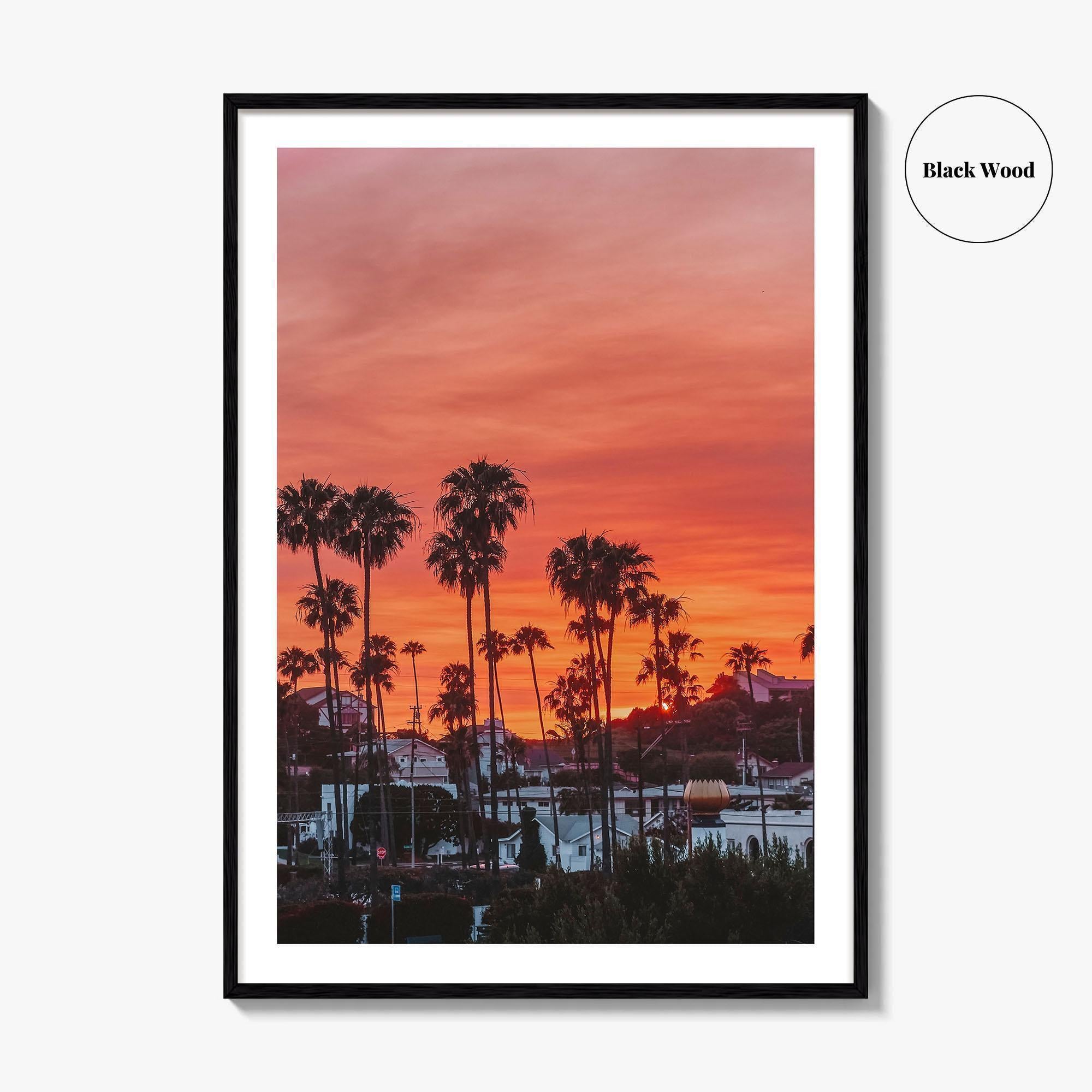 Encinitas Fine Art Photo Print, San Diego Palm Tree California Poster
