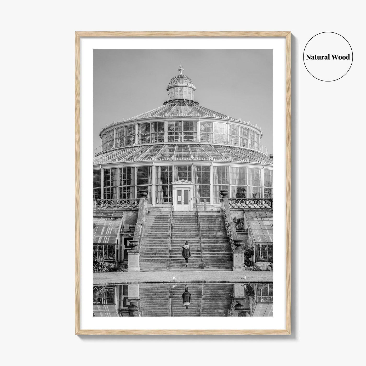 Botanisk Have Black and White Fine Art Photo Print, Copenhagen Botanical Garden Denmark Poster