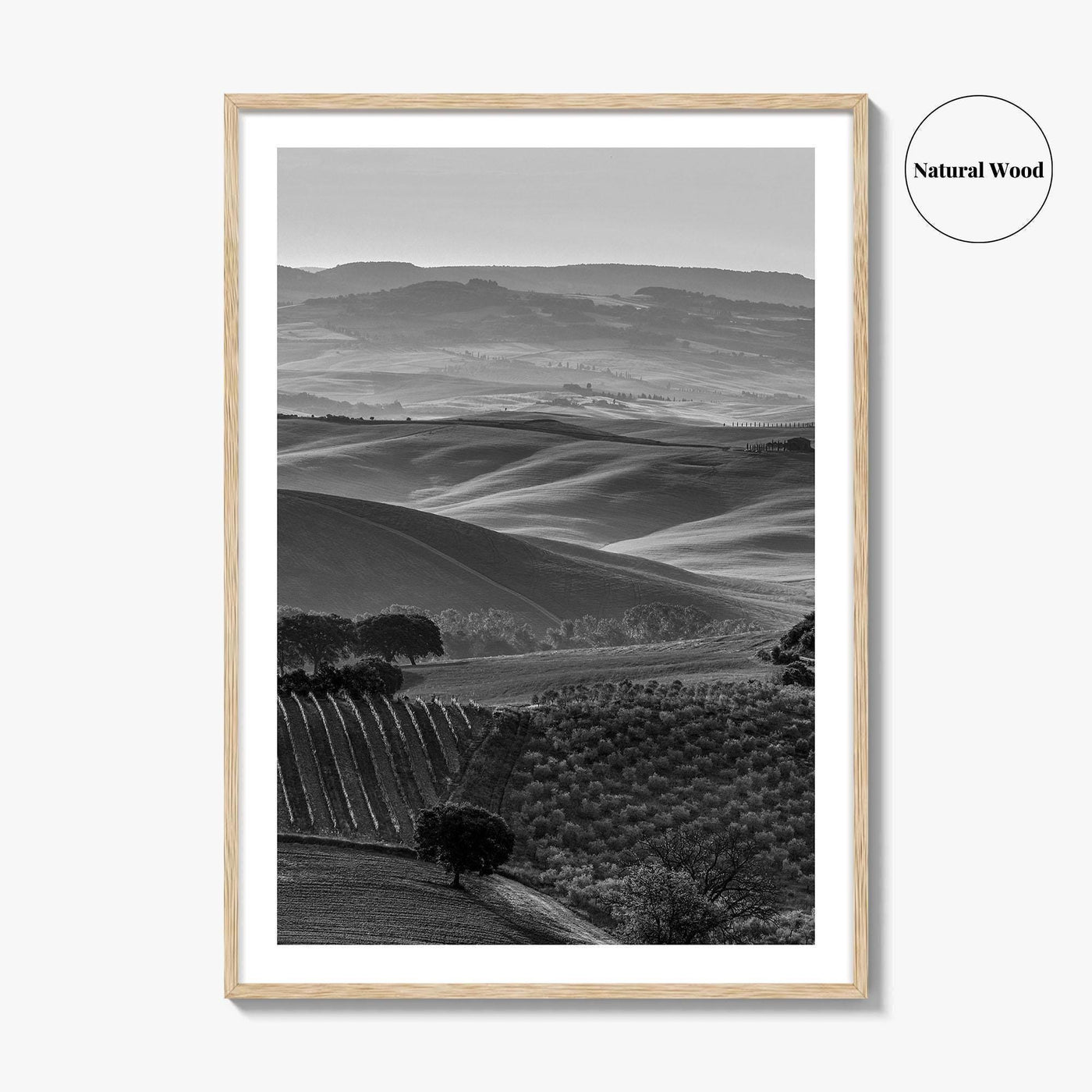 Tuscany Hills Black and White Fine Art Photo Print, Italy Landscape Wall Decor