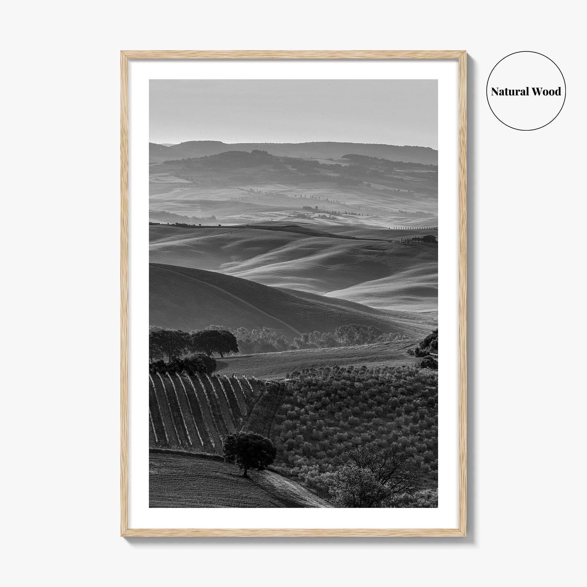 Tuscany Hills Black and White Fine Art Photo Print, Italy Landscape Wall Decor